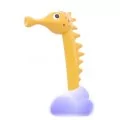 Polgun animation for kid’s splash zone Seahorse