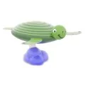 Polgun animation for kid’s splash zone Turtle