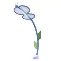 Polgun animation for kid’s splash zone Butterfly
