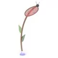Polgun animation for kid’s splash zone Lady Bug