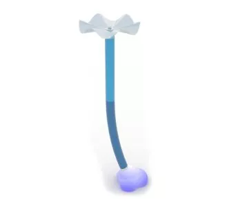 Polgun animation for kid’s splash zone Sunflower