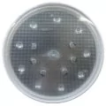 Aqua Industrial LED replacement lamp PAR56 50 W, Hot white