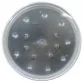 Aqua Industrial LED replacement lamp PAR56 50 W, Hot white Photo №1