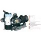 AstralPool Maxim 74 m3/h pump for the swimming pool,  4.5 HP Photo №2