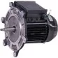 AstralPool motor 1 HP II Photo №1
