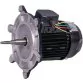 AstralPool motor 1 HP III Photo №1