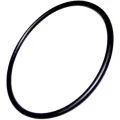 AstralPool O-ring