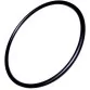 AstralPool O-ring Photo №1