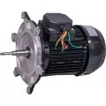 AstralPool motor 2 HP III