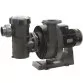 AstralPool Kivu self- priming Pump with Prefilter for Pools, 400/690V 50Hz 5.5 HP Photo №1