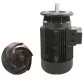 AstralPool Kivu self- priming Pump with Prefilter for Pools, 400/690V 50Hz 5.5 HP Photo №5