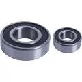AstralPool motor bearings 1.5HP - 3HP