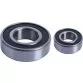 AstralPool motor bearings 1.5HP - 3HP Photo №1