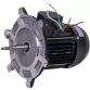 AstralPool motor 1/2 HP III Photo №1