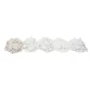 AstralPool Celatom FW-60 Diatomaceous earth for DE filters - 20 kg Photo №2